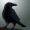 Imagen de perfil de Dark