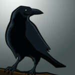 Profile picture of Dark