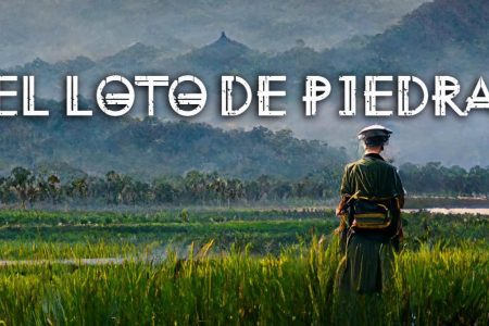 Loto de piedra Banner rrss